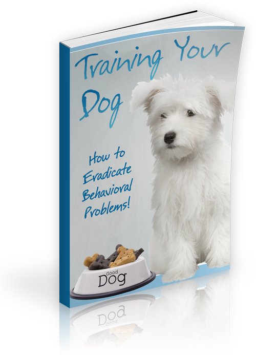 Training Your Dog
